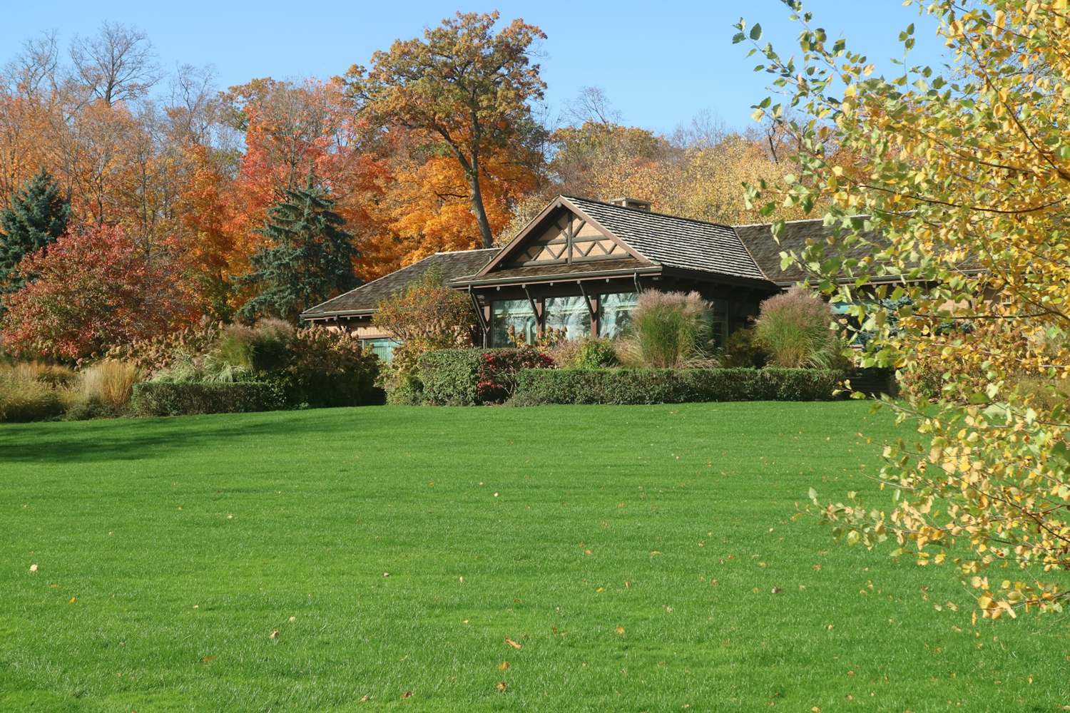 Neatly maintained lawn in front of a home framed by autumn trees